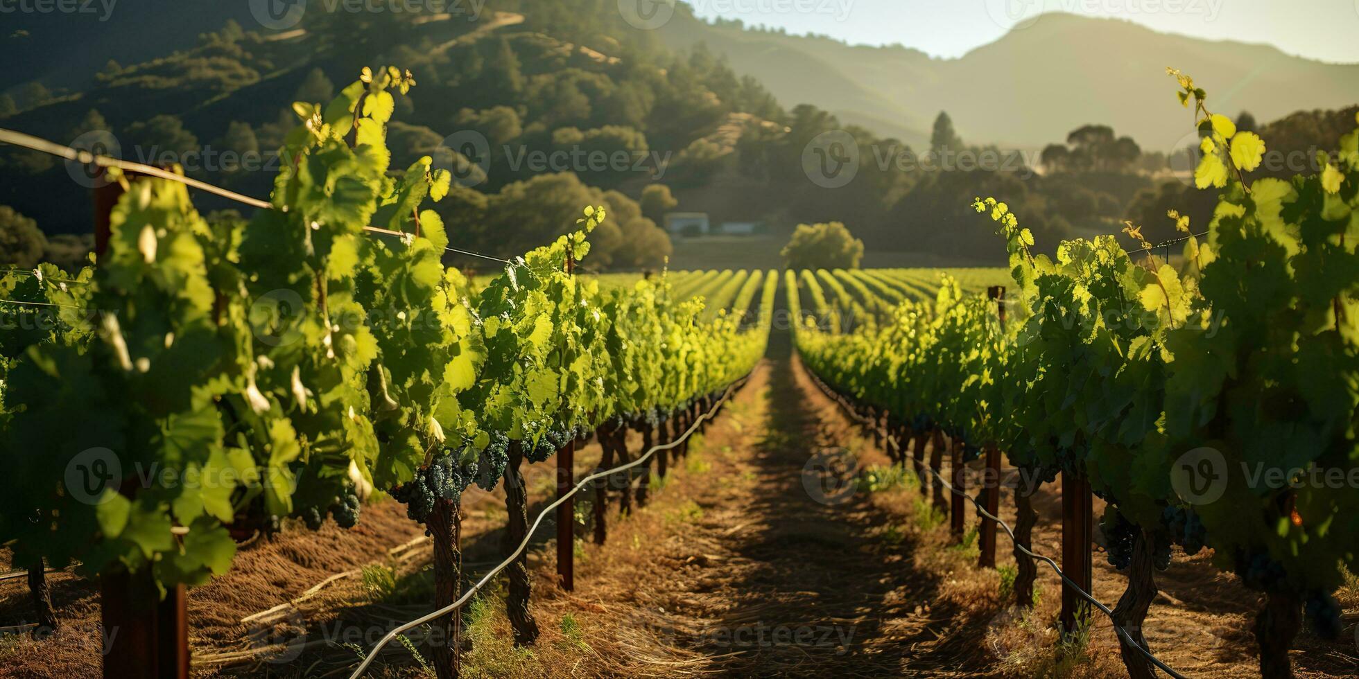 AI Generated. AI Generative. Green fresh outdoor nature farm countryside vineyard landscape background. Graphic Art photo