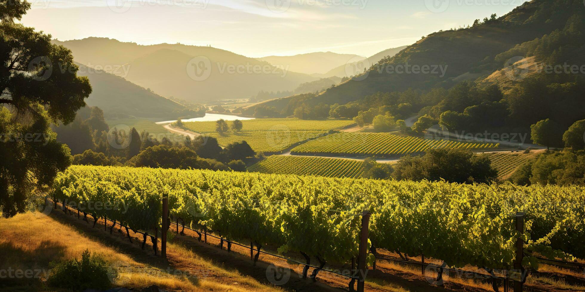 AI Generated. AI Generative. Green fresh outdoor nature farm countryside vineyard landscape background. Graphic Art photo