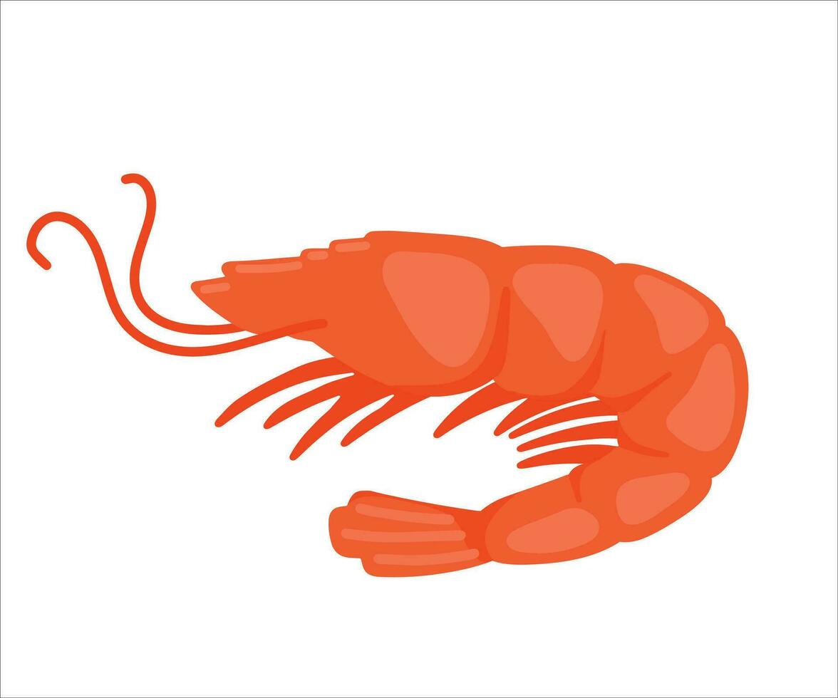 Red Cooked Shrimp Seafood Food Cartoon Animated Icon Vector Illustration