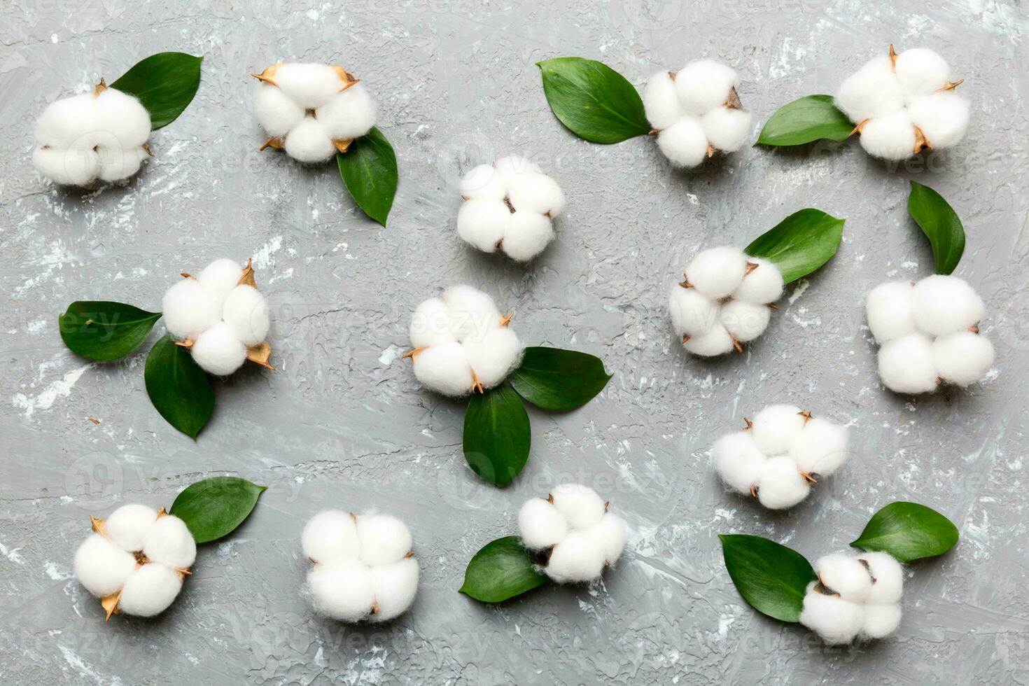 Autumn Floral Flat lay background composition. Dried white fluffy cotton flower branchwith green leaf top view on colored table with copy space photo