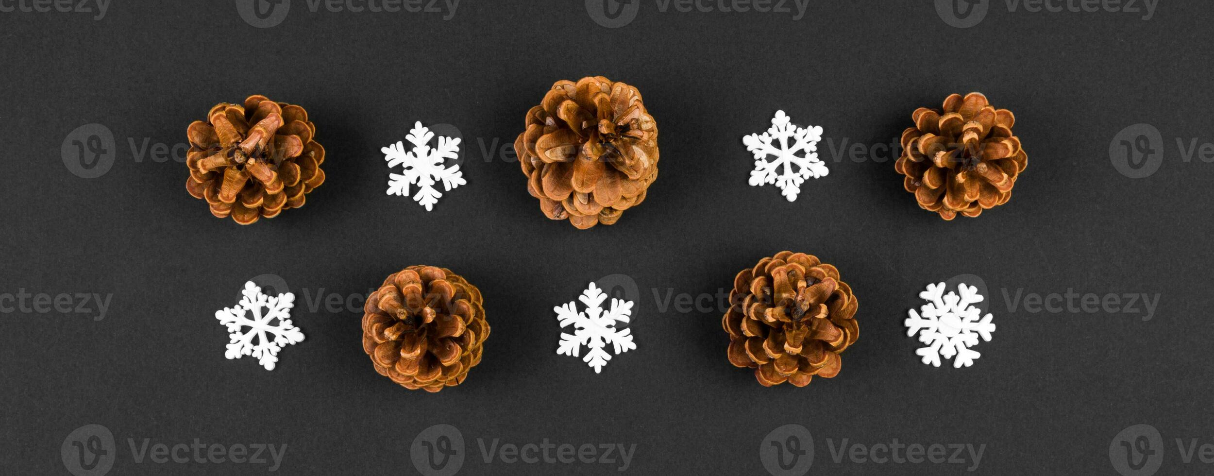Top view Banner of New Year ornament made of white snowflakes and pine cones on colorful background. Winter holiday concept with empty space for your design photo