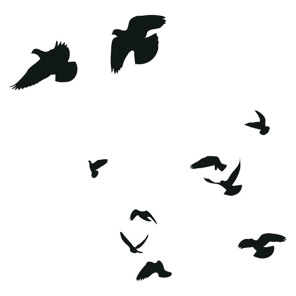 Silhouette sketch of a flock of flying birds, flight in different positions. Hover, soaring, landing, flying, flutter vector