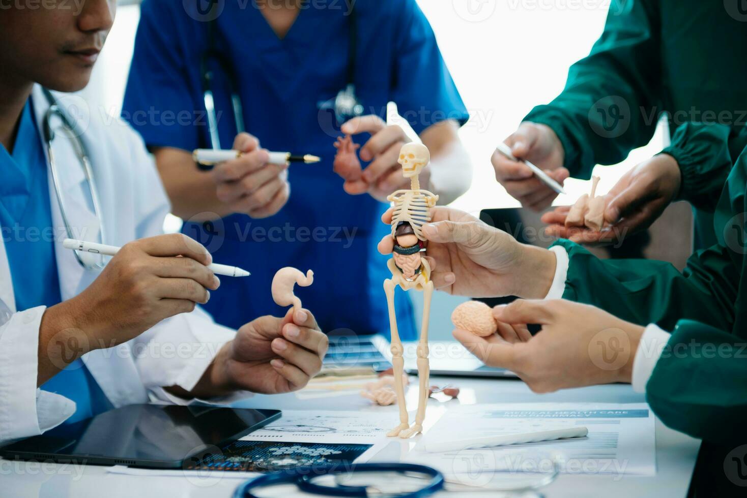 reunión equipo de médico y médico personal consulta acerca de el tratamiento de corazón enfermedad, neumonía, gastrointestinal y estómago enfermedades. y osteoporosis foto