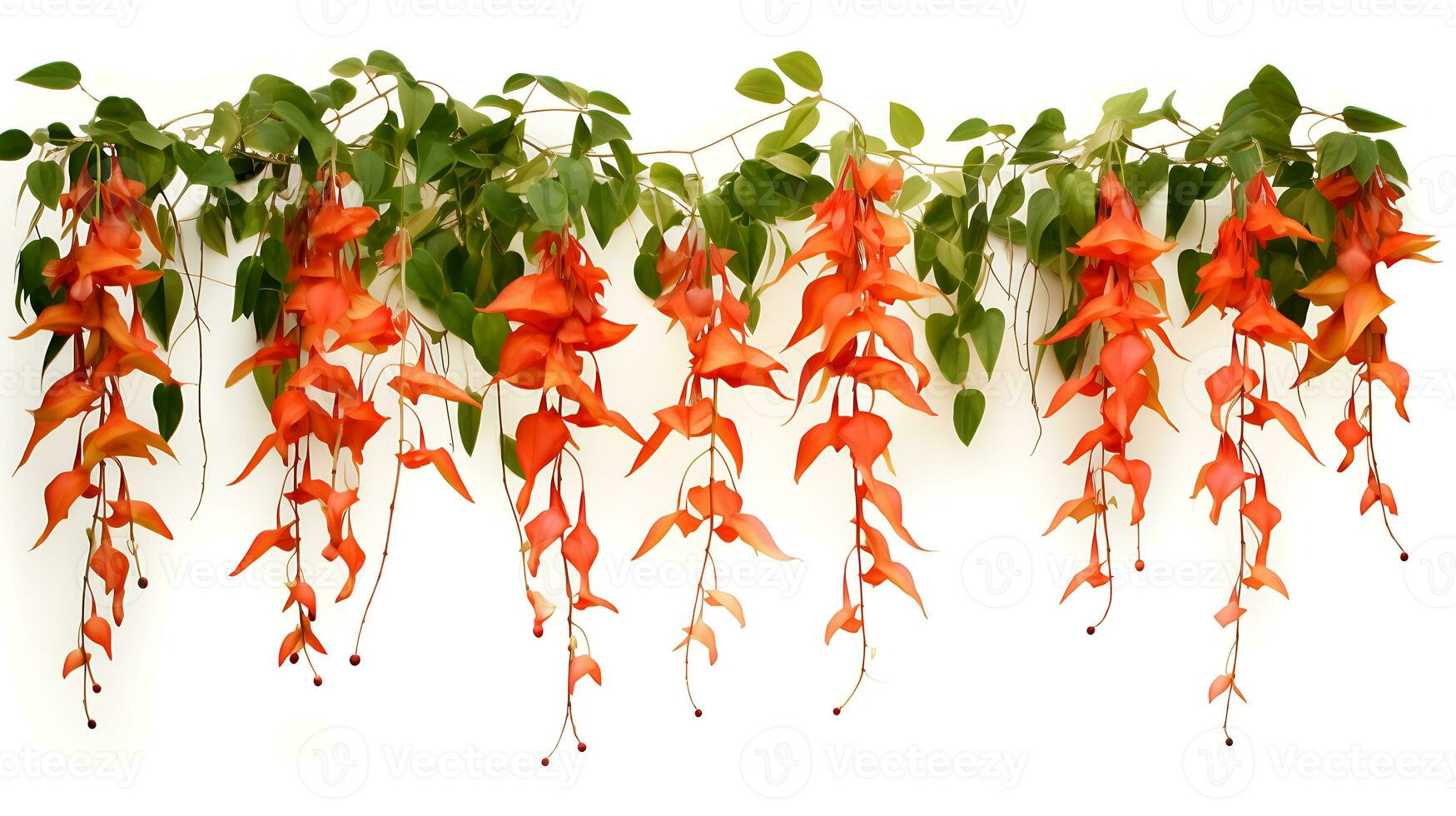 Bignonia flame vine hanging group plants isolated on white background ai generated photo