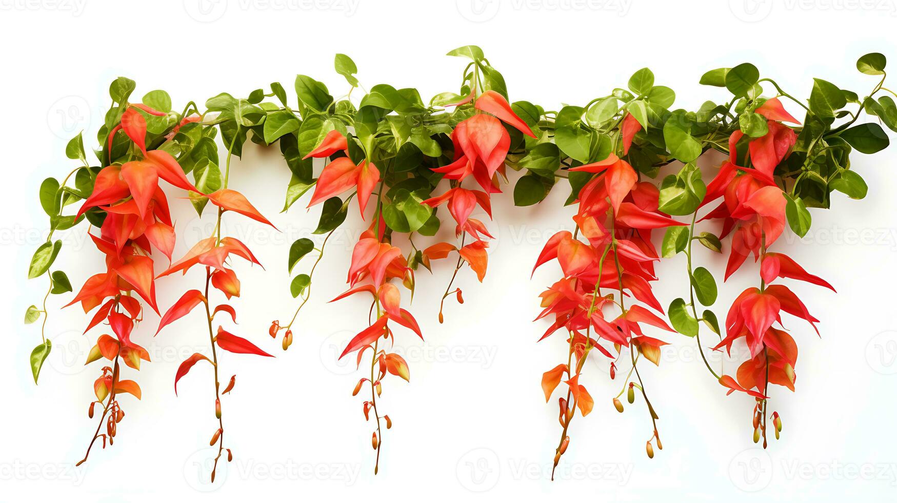 Bignonia flame vine hanging group plants isolated on white background ai generated photo