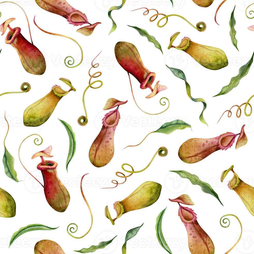 Nepenthes carnivorous plants watercolor seamless pattern. Tropical exotic flora illustration in green red and yellow colors. Hand drawn pitcher liana monkey cups png
