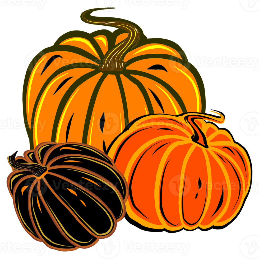 Autumn illustration of three colorful round ripe pumpkins. Digital  illustration  for your design, decorating invitations and cards, making stickers, embroidery scheme, packaging and textiles. png