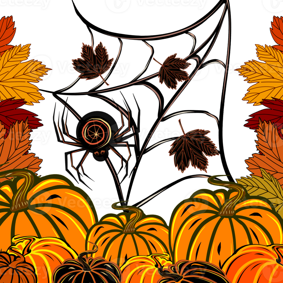 Composition of orange pumpkins with fall leaves and a spider on the we illustration  for your design,  decorating invitations and cards, making stickers, png