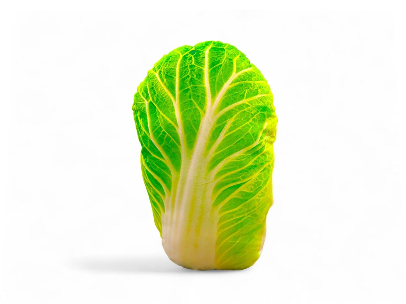Stuffed cabbage vegetables on a white background photo