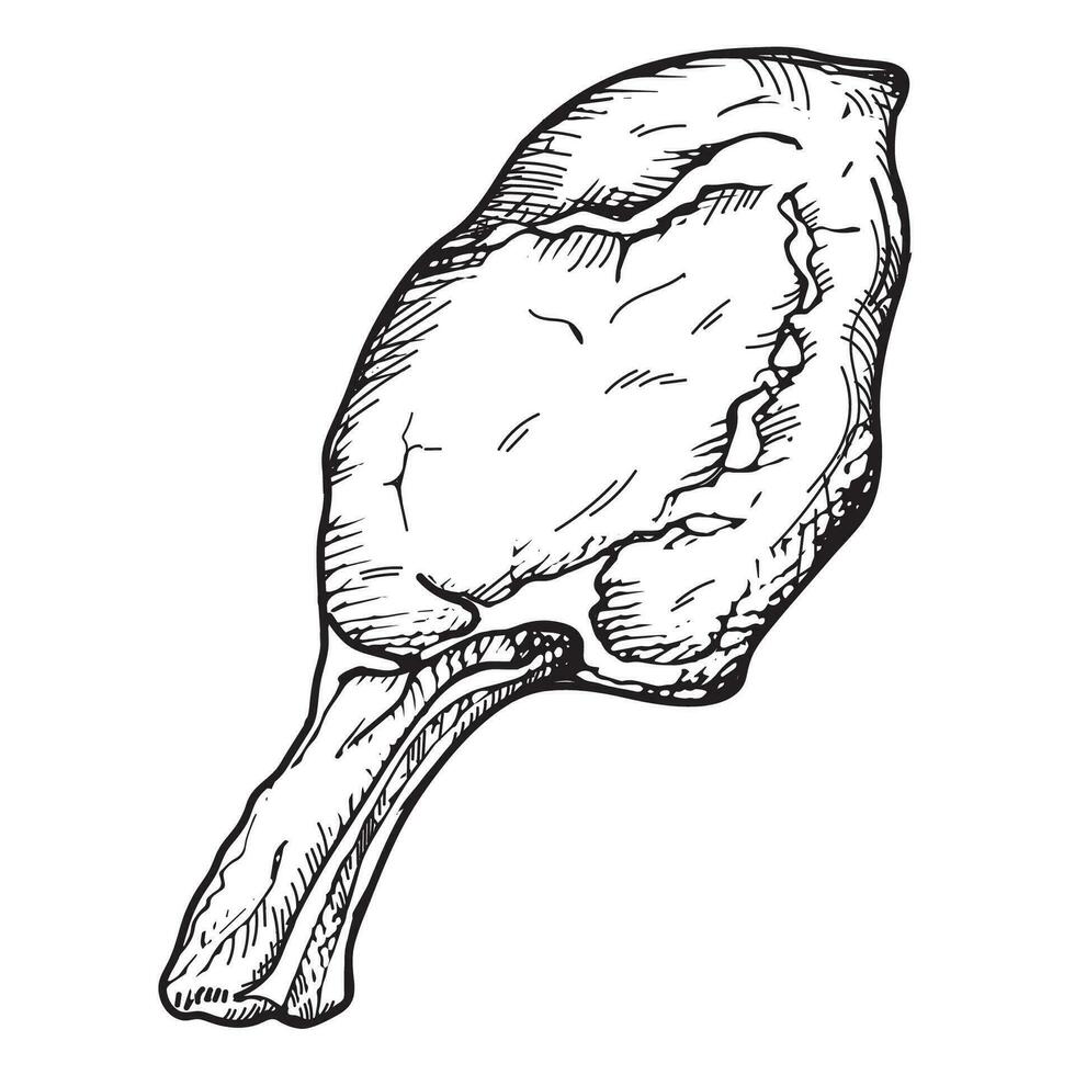 Meat fillet on bone hand drawn lamb, beef or pork meat vector illustration on isolated background. Sketch with engraving of meaty steak product for menu, print, logo. Healthy protein food, gastronomy