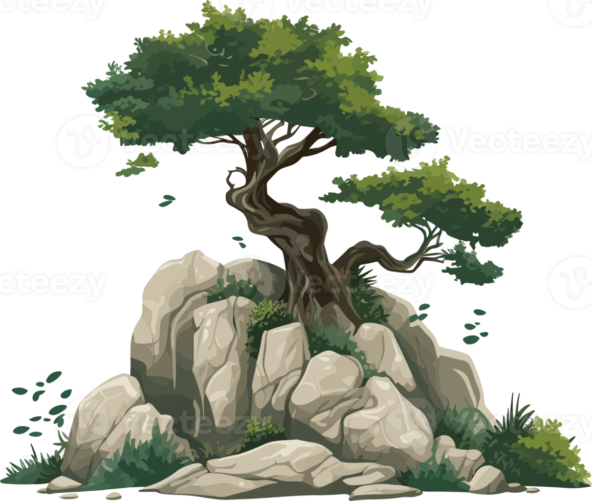 green tree and grass on the rocks png