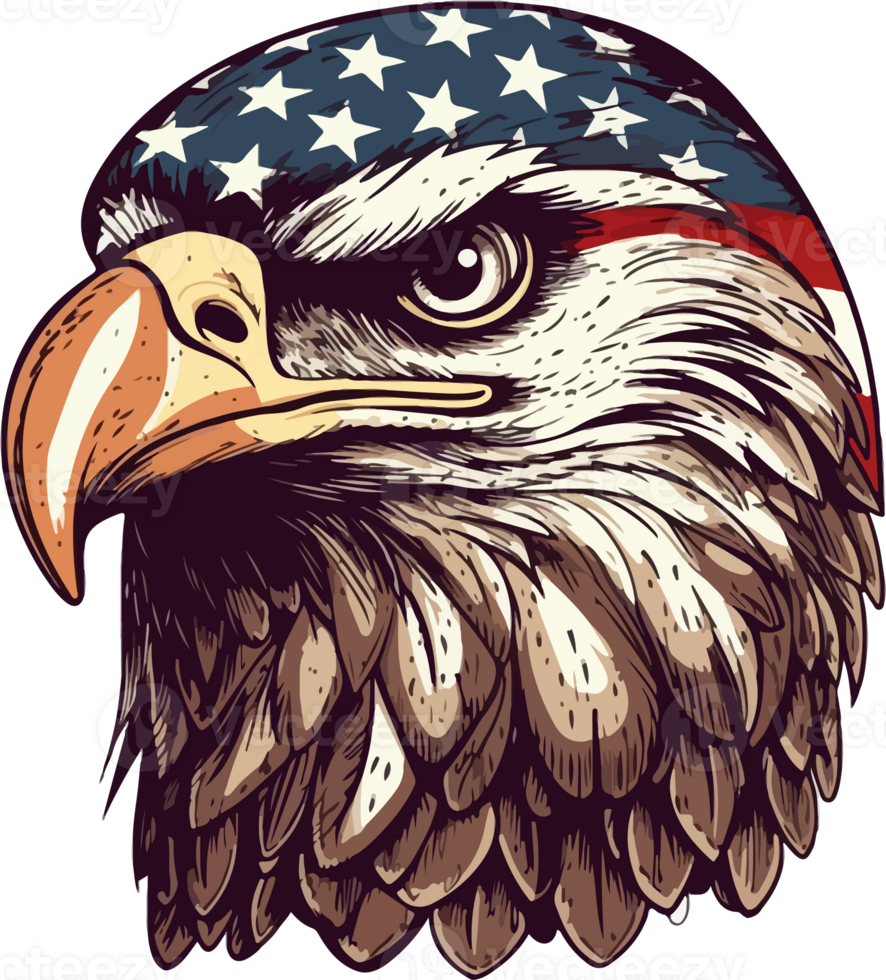 Eagle With Usa Flag Illustration png