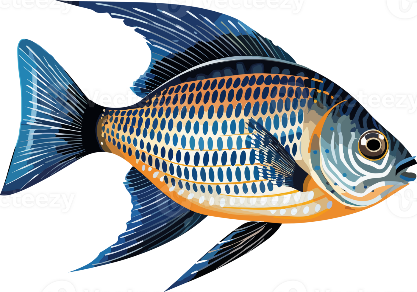 Angelfish Illustration Design png