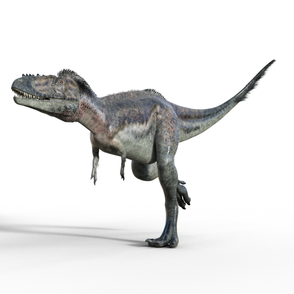 Alioramus dinosaur isolated 3d png