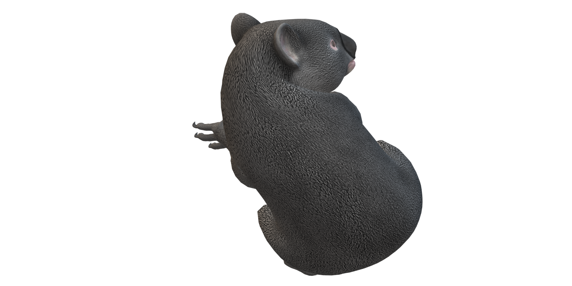 Koala Bär isoliert auf ein transparent Hintergrund png