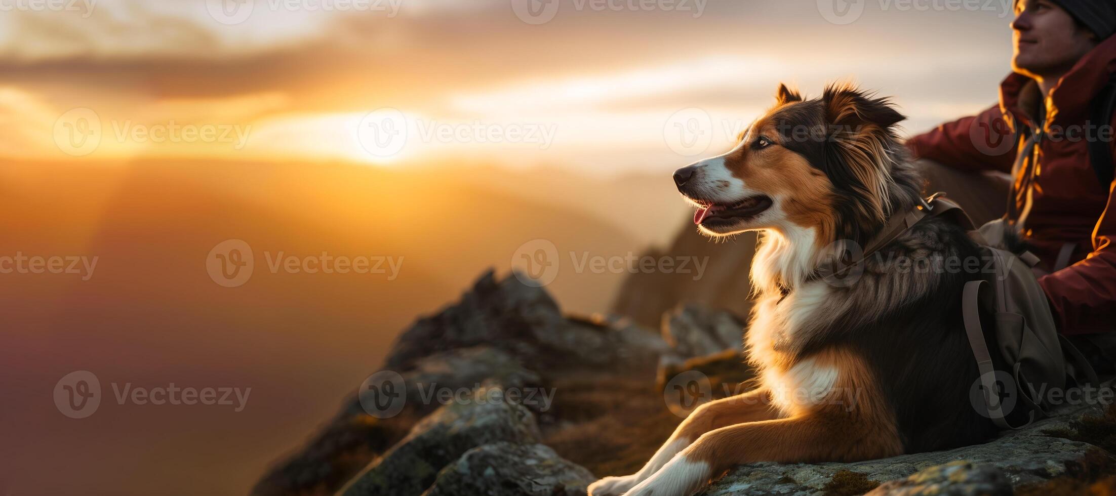 Hiking with the Dog, a Young Man and His Active Border Collie Dog Sitting on Cliff Rock to Take a View of Sunrise after long Trail Trekking in the Mountain Peaks. Activities with Pet. photo
