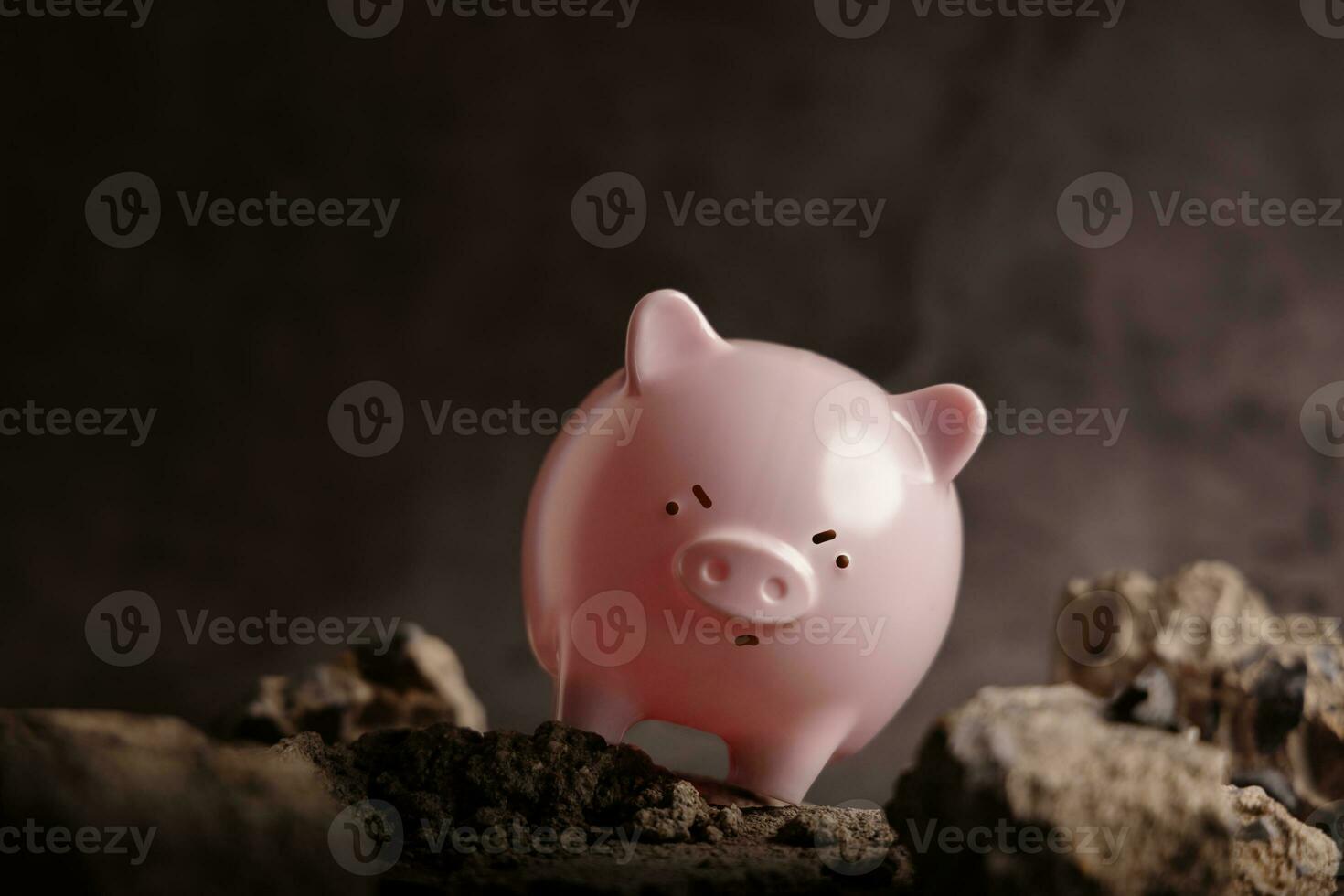 Financial Success Concepts. Obstacles to Saving Money. a Pink Piggy Bank trying to Walking through on the Rough Road photo