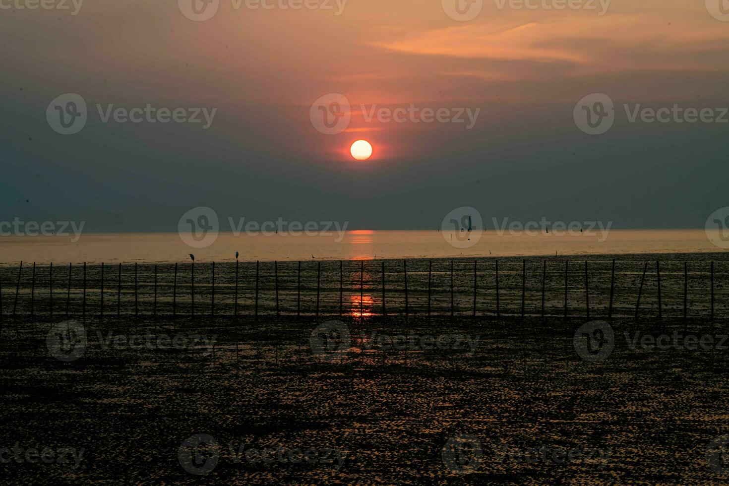 hermosa paisaje de puesta de sol en el noche con diferente tono fondo, bueno para general propósitos. foto