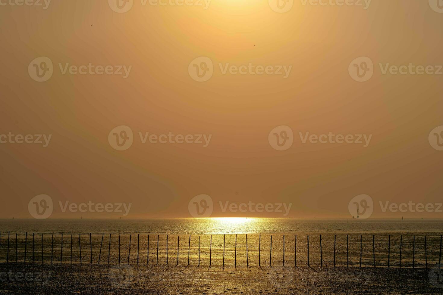 Beautiful landscape of sunset in the evening with different tone background, good for general purposes. photo