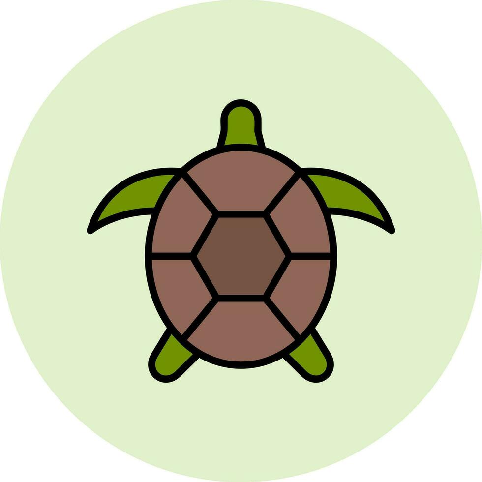 Turtle Vector Icon