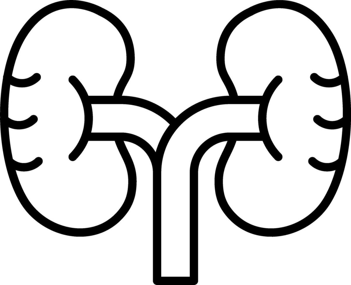 Kidney Vector Icon