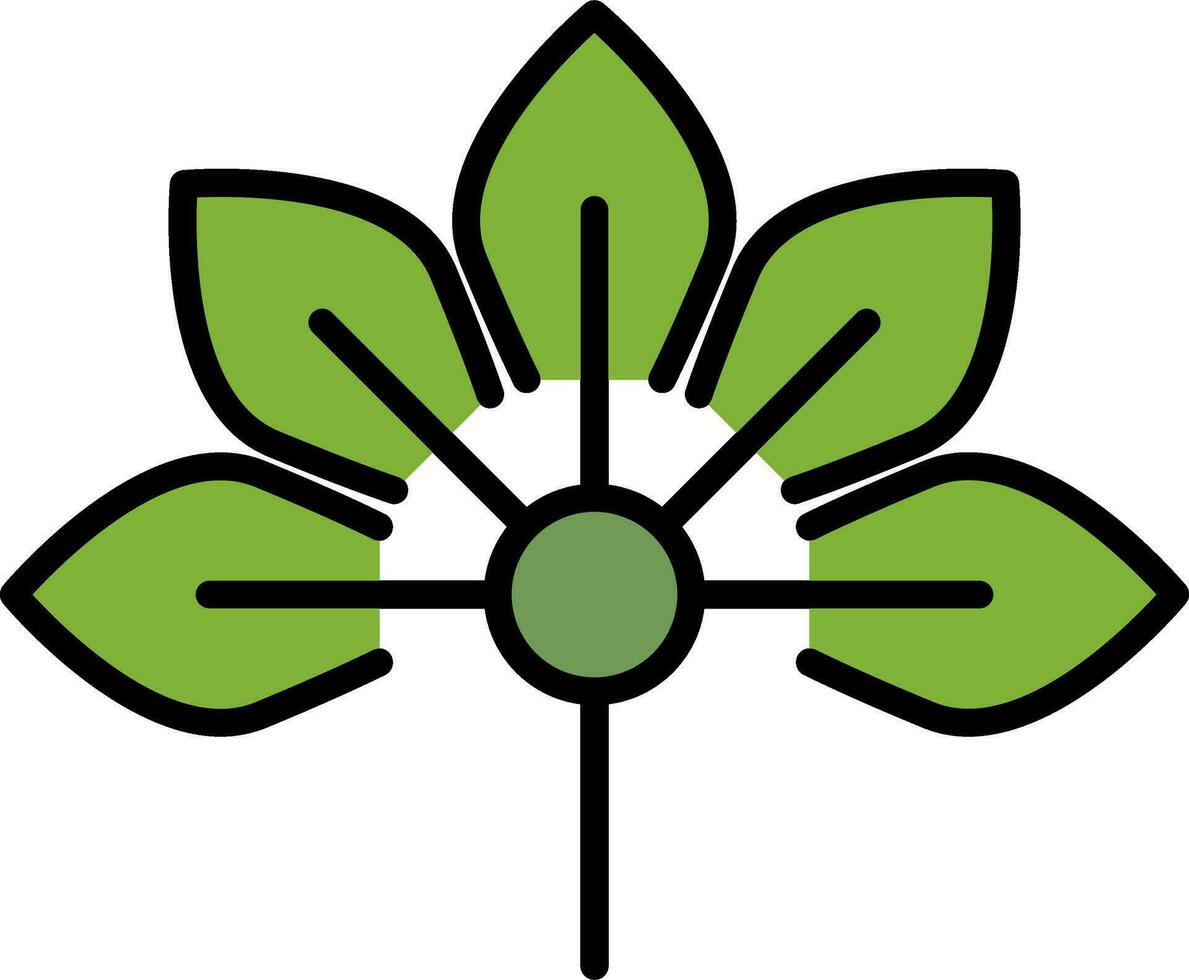Japanese Aralia Vector Icon