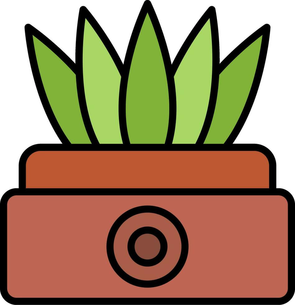 sansevieria vector icono