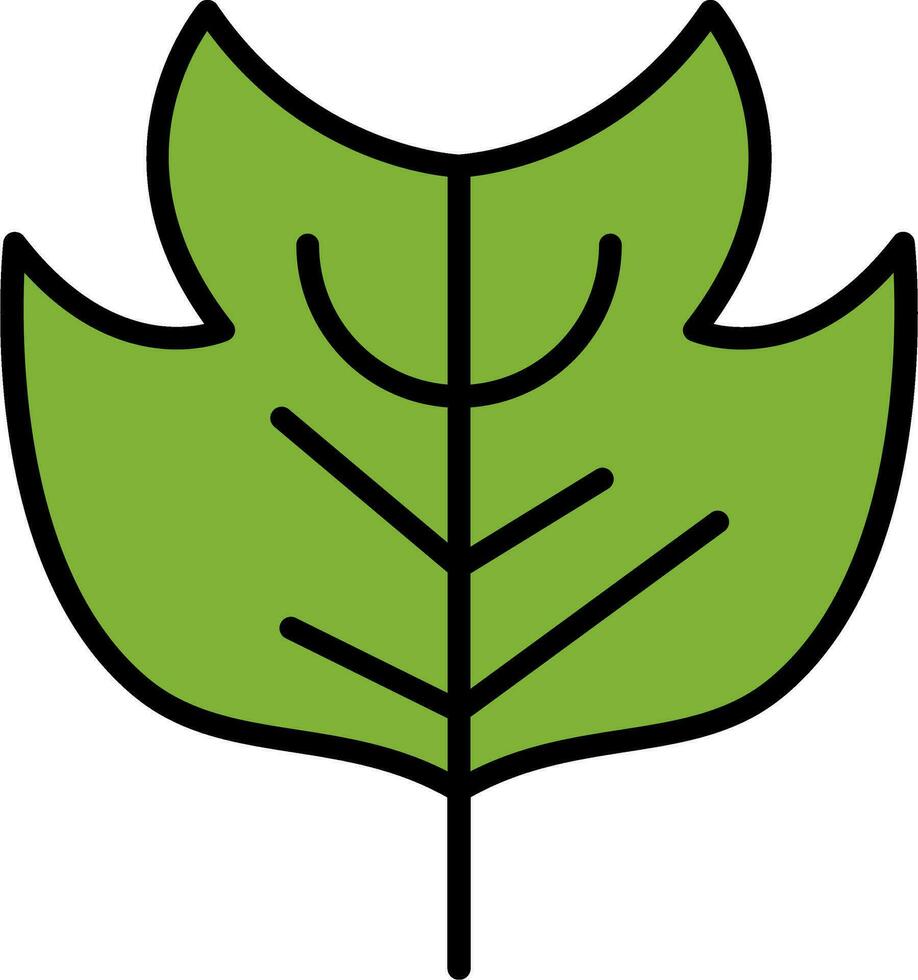 Tulipifera Vector Icon