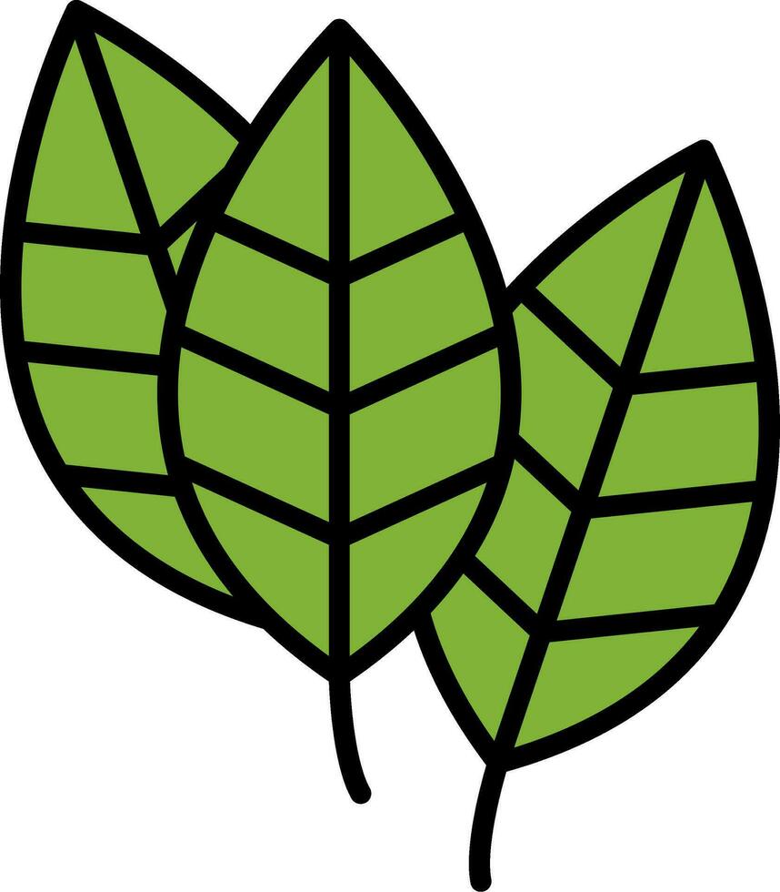 Aspidistra Vector Icon