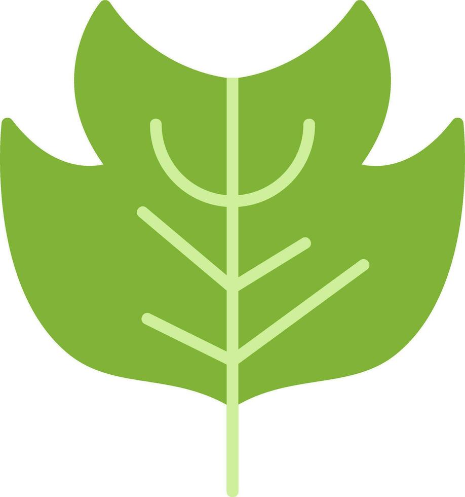 Tulipifera Vector Icon
