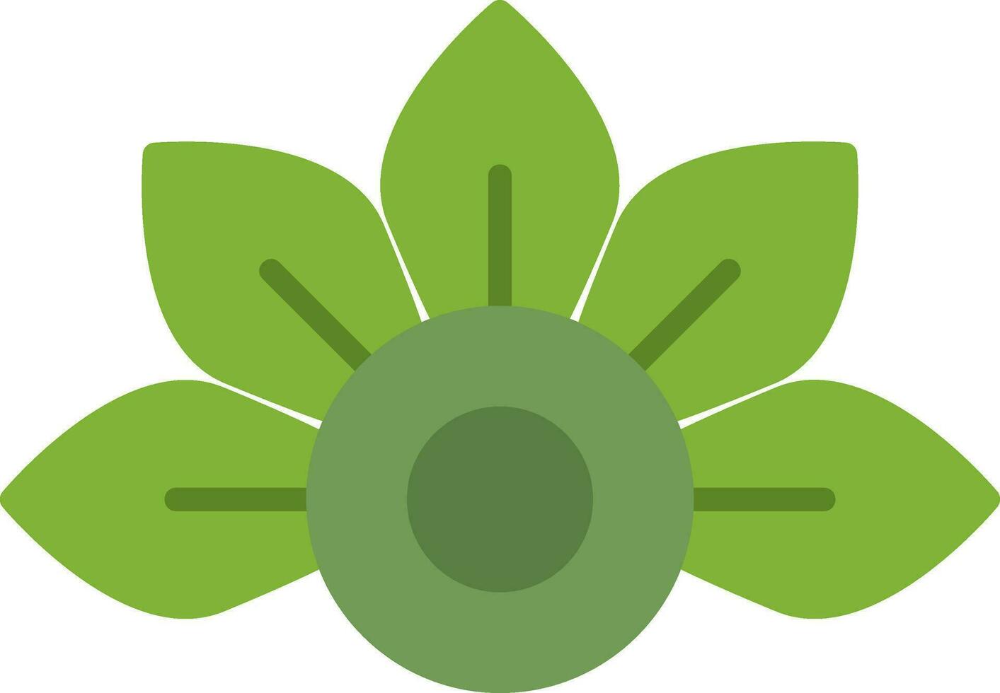 Japanese Aralia Vector Icon
