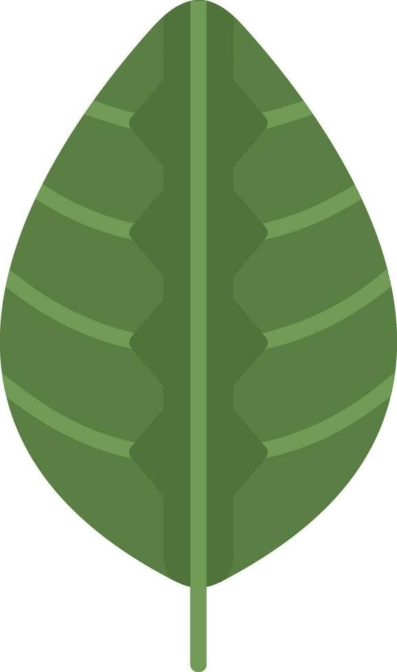 maranta vector icono