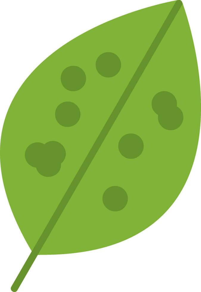Chinese Evergreen Vector Icon