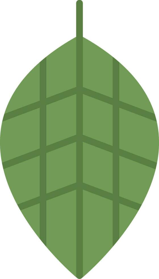 Fittonia Vector Icon