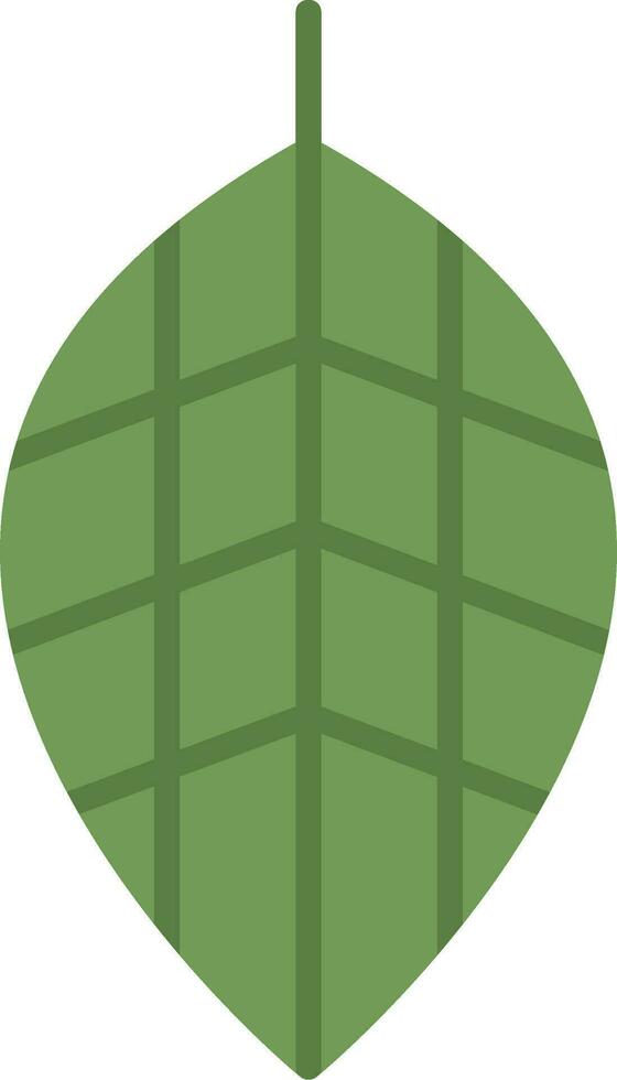 Fittonia Vector Icon