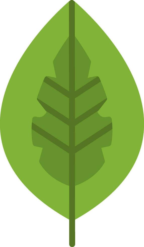 Red Aglaonema Vector Icon