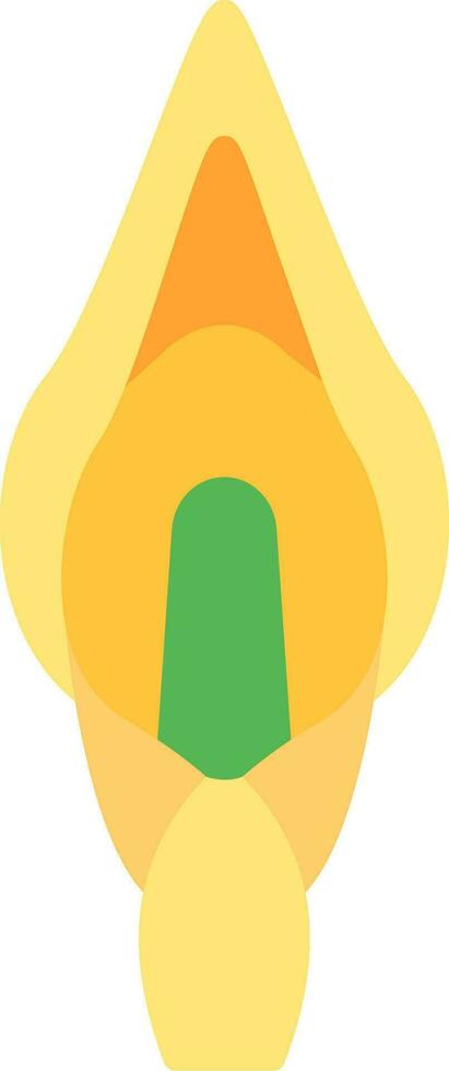 Calla Lily Vector Icon