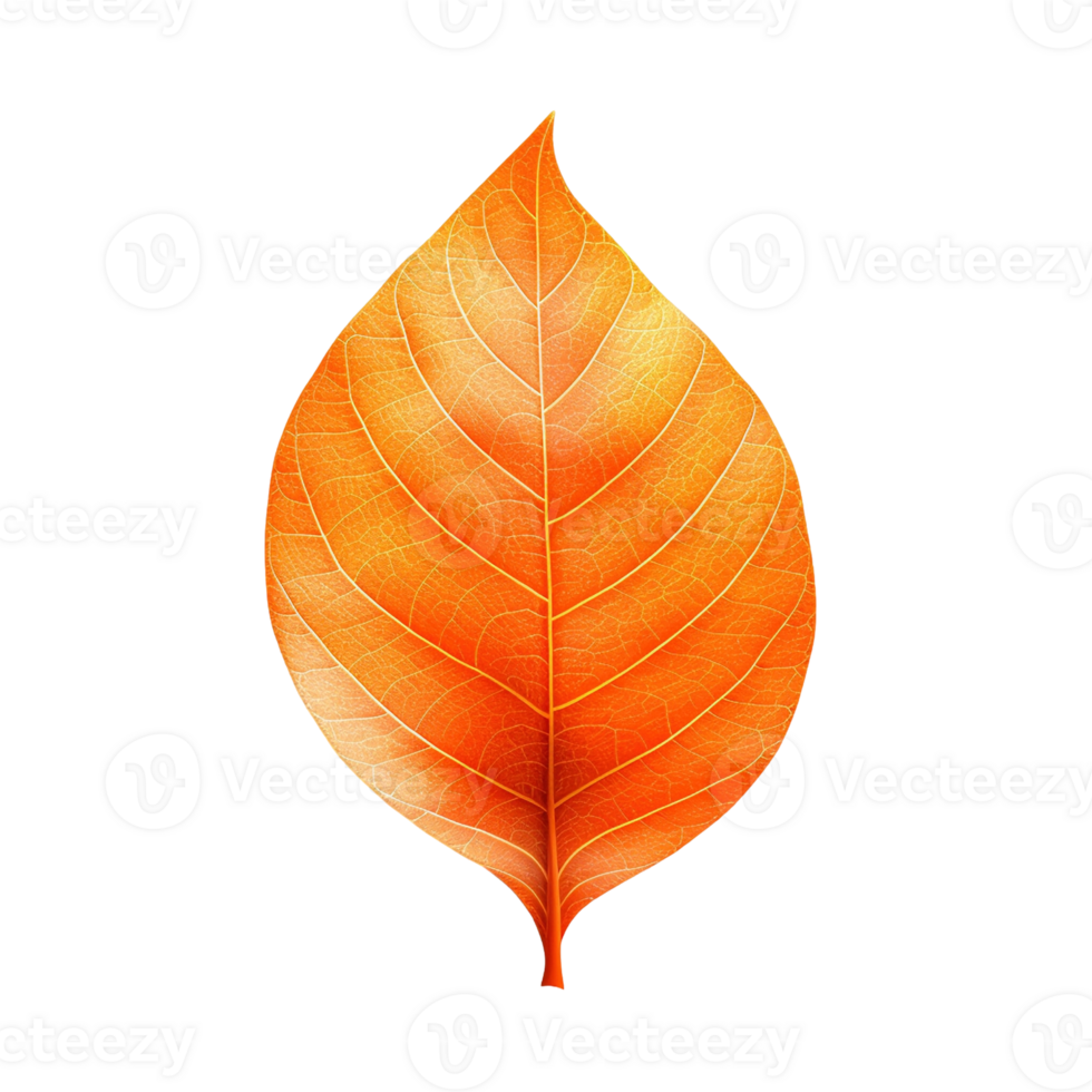 Orange leaf isolated on transparent background, created with generative AI png