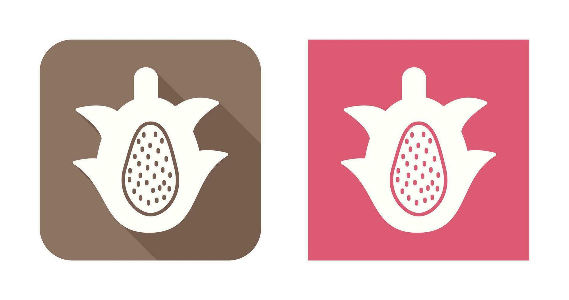 Dragon Fruit Vector Icon
