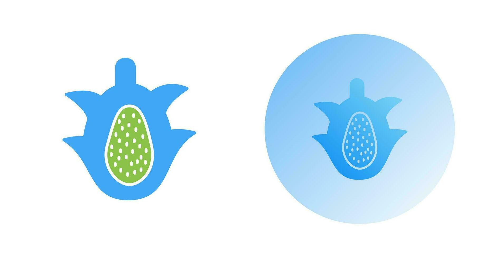 icono de vector de fruta de dragón