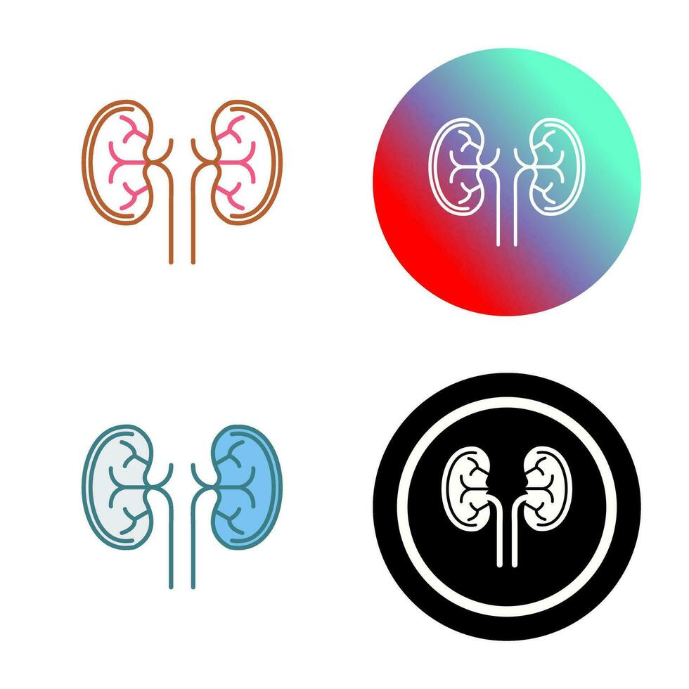 Kidney Vector Icon