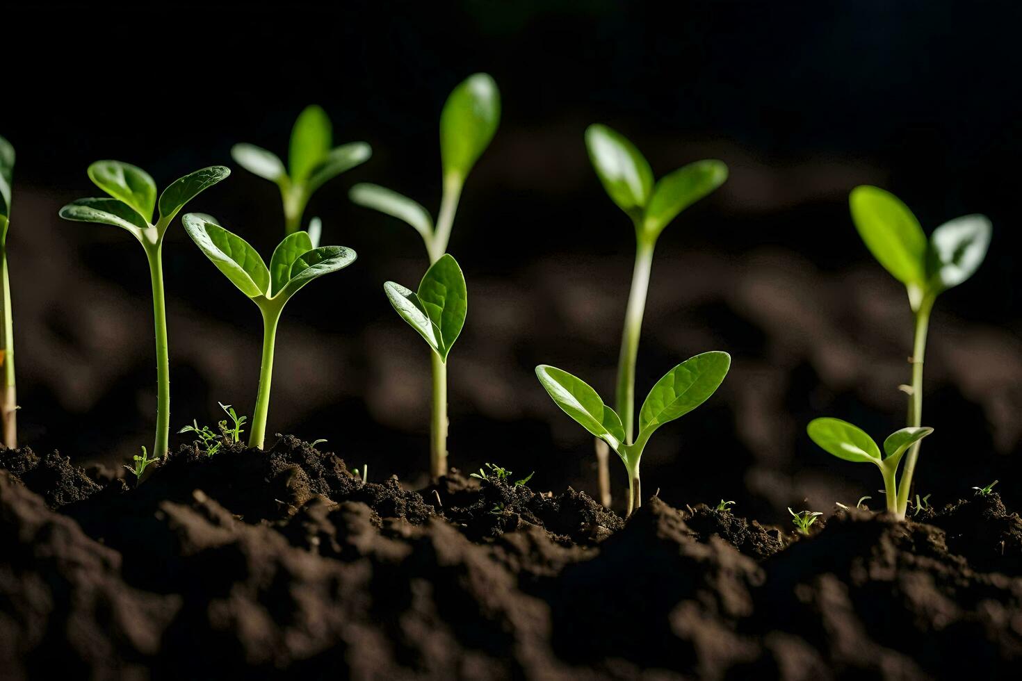 a group of young plants growing in the dirt. AI-Generated photo
