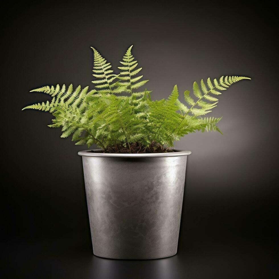 planta en un maceta en blanco antecedentes ai generativo foto