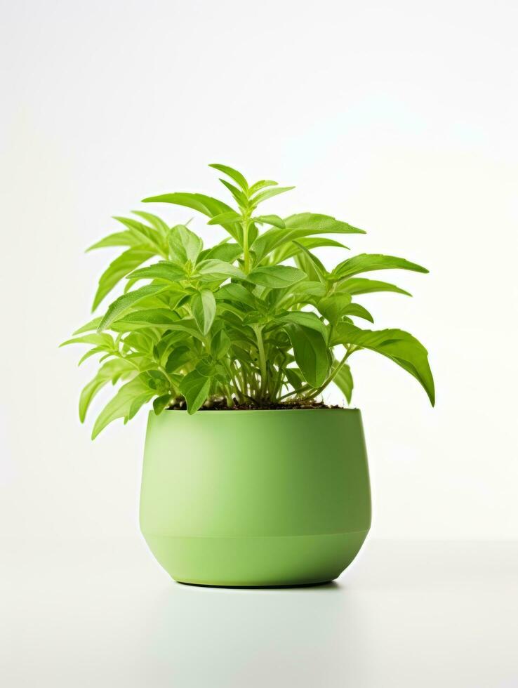 planta en un maceta en blanco antecedentes ai generativo foto