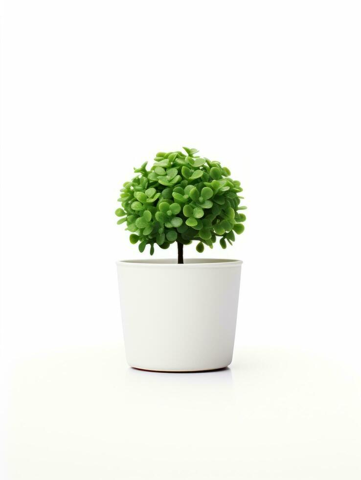 Plant in a pot on white background AI Generative photo