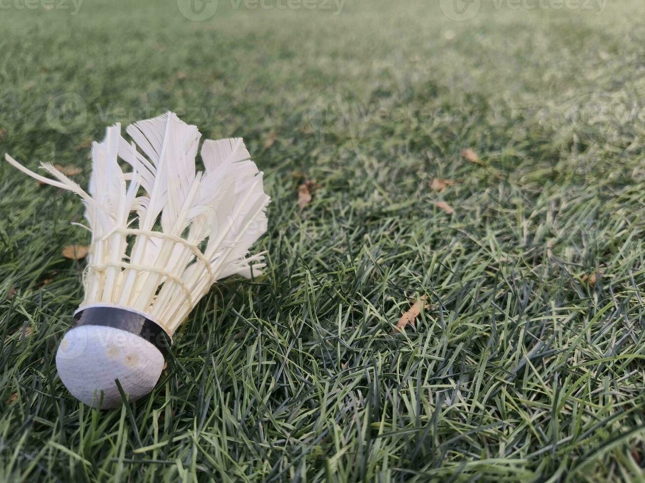 Shuttlecock on the grass in the afternoon. closeup of an object photo