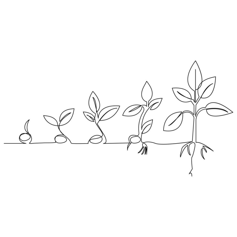 Continuous one line plant growth tree outline vector art drawing