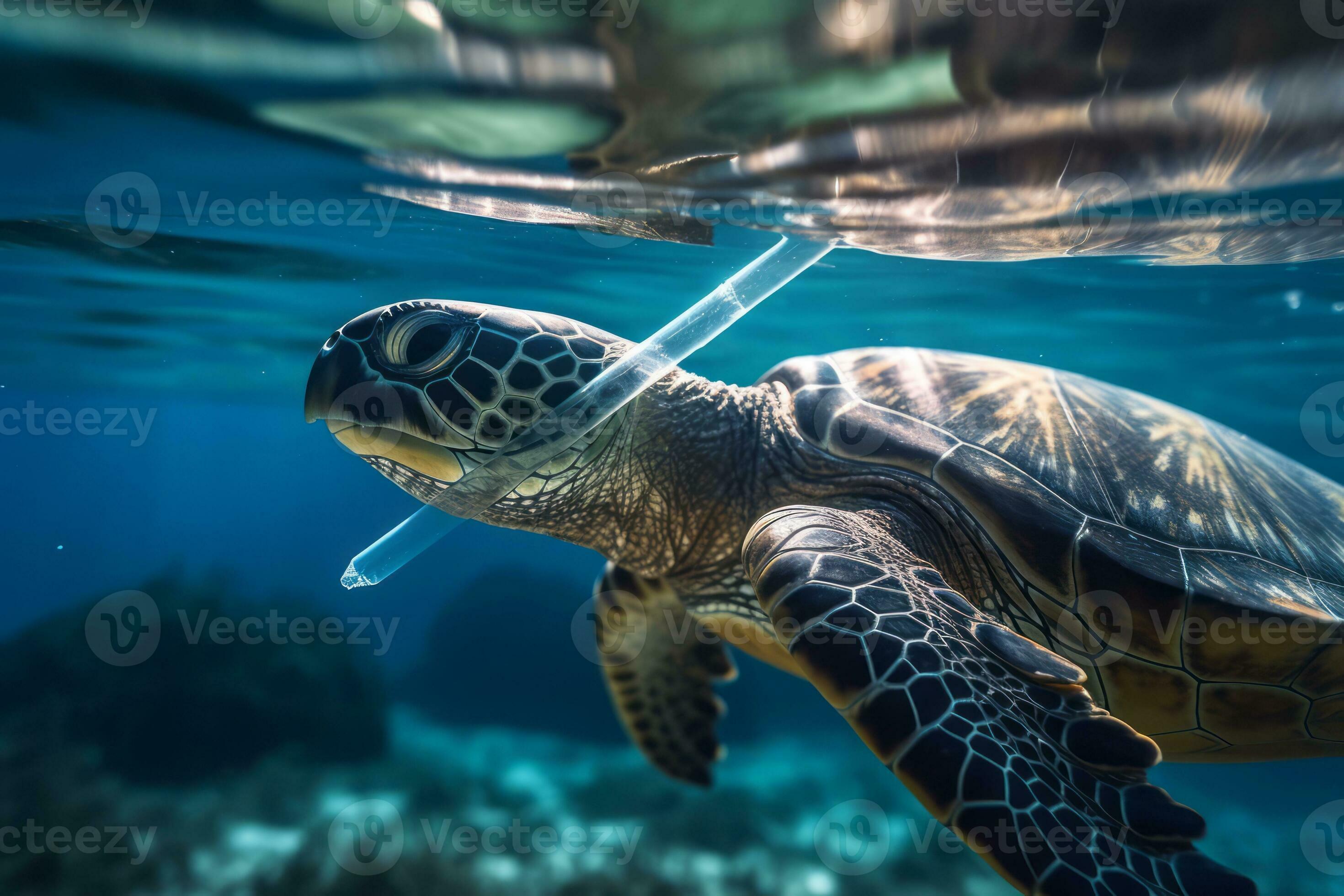 A powerful underwater shot of a plastic straw lodged in the