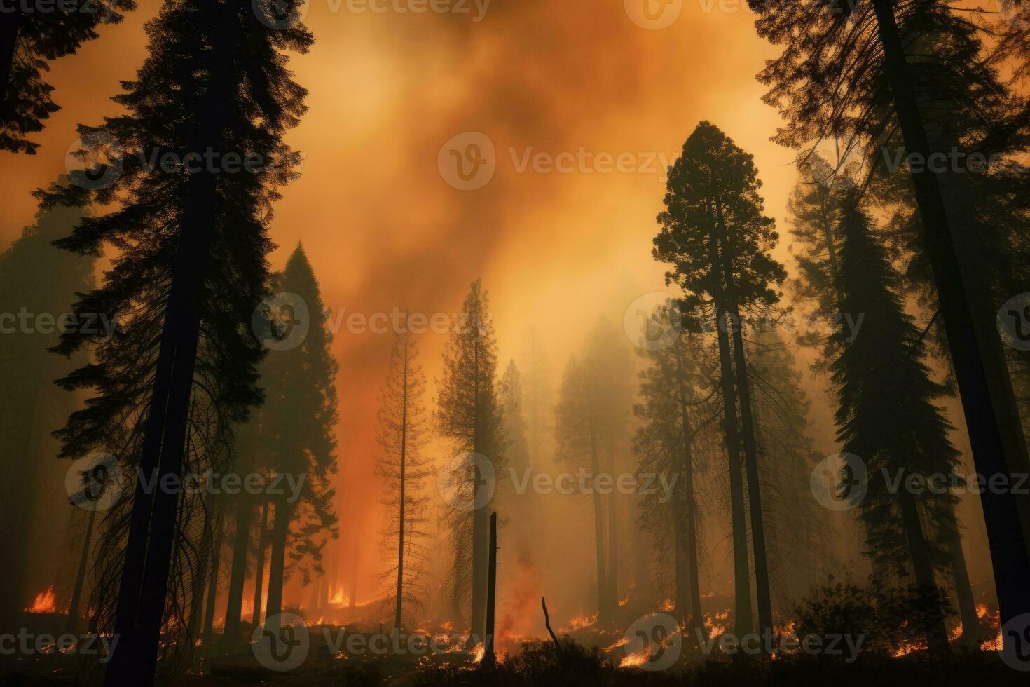A powerful photograph of a forest engulfed in thick smoke from wildfires, emphasizing the urgent need for forest fire prevention and conservation. Generative Ai photo