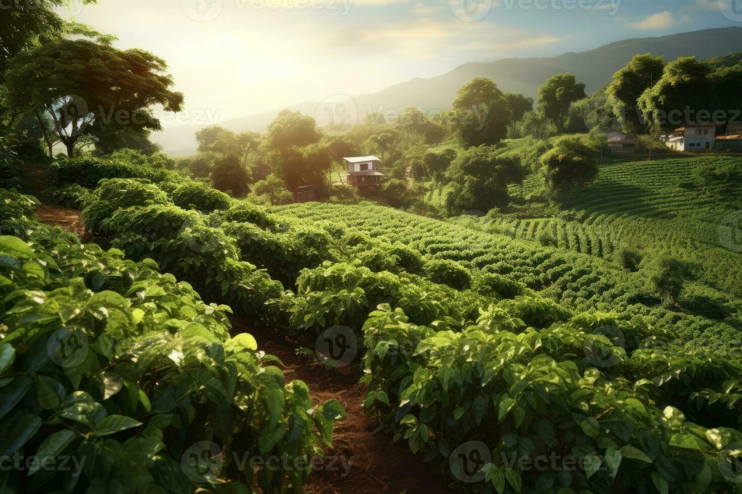 Rustic coffee plantation scene, showcasing rows of lush, green coffee plants, with ripe, red coffee cherries ready for harvest. Generative Ai photo